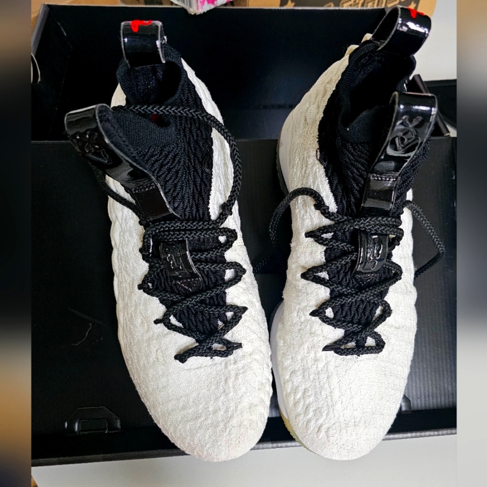 Lebron James XV